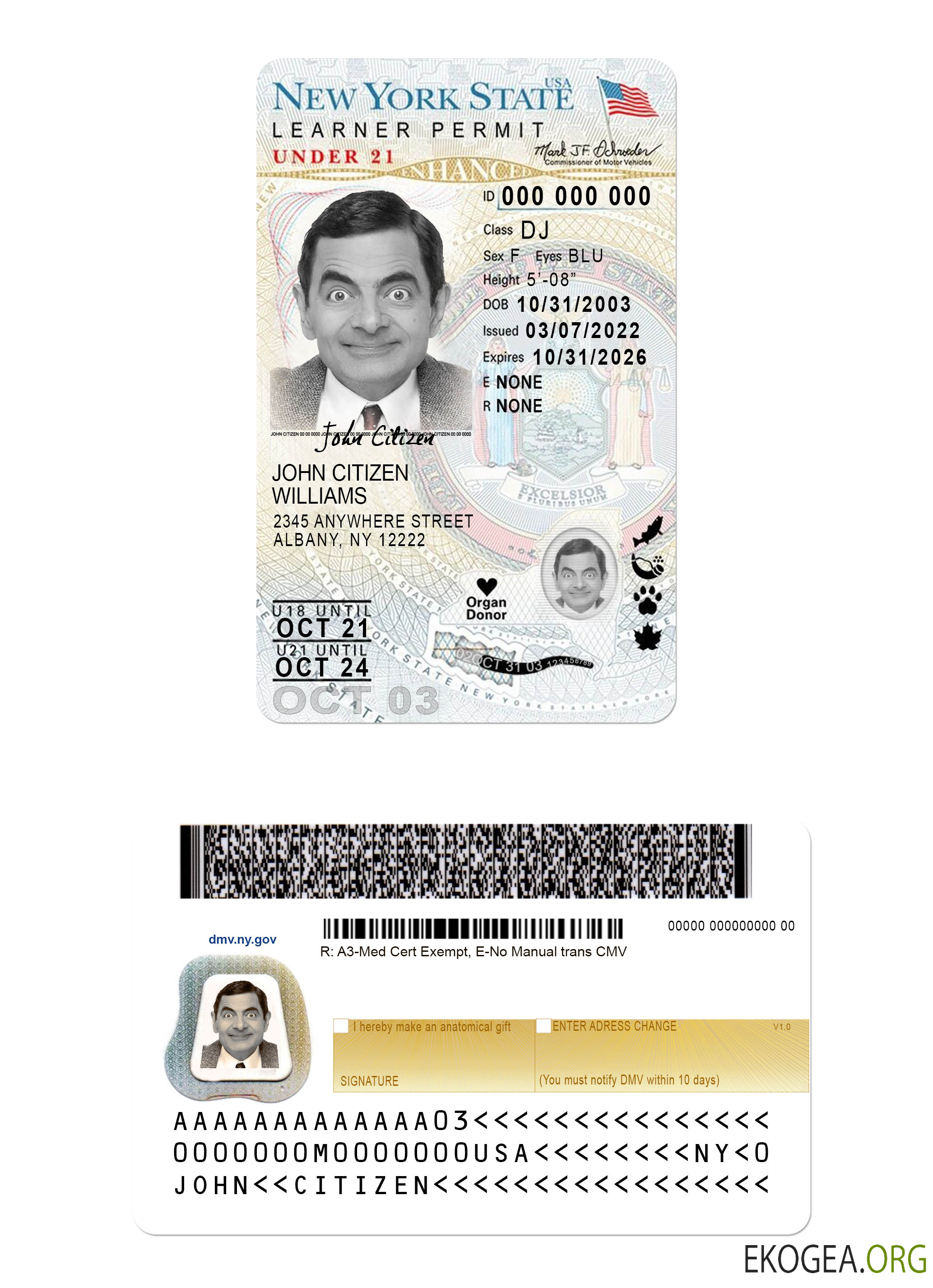 USA New York driving license under 21 (version 2)